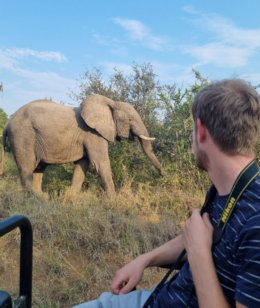 Olifant tijdens safari in open voertuig bij prive reservaat in Zuid Afrika