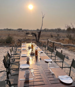 Olifanten tijdens diner in Botswana