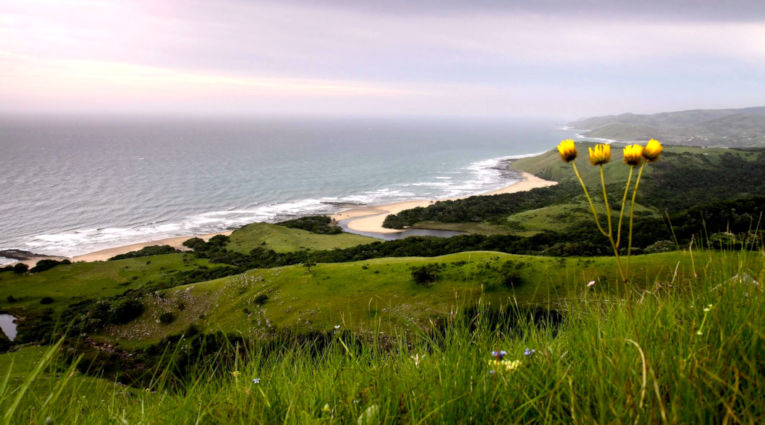 Kust in de Oostkaap provincie van Zuid Afrika