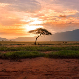 Landschap in Tanzania met zonsondergang