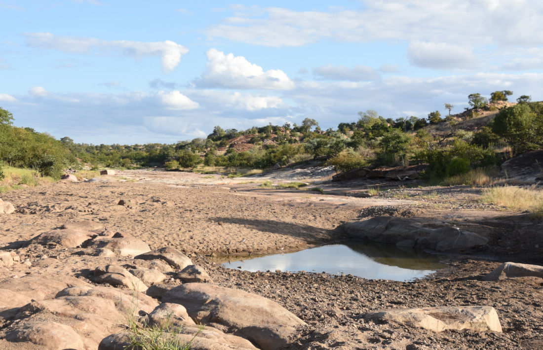 Rivierbedding in het Kruger Park