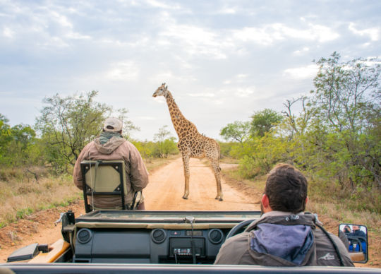 Safari in open voertuig bij Thornybush Game Lodge