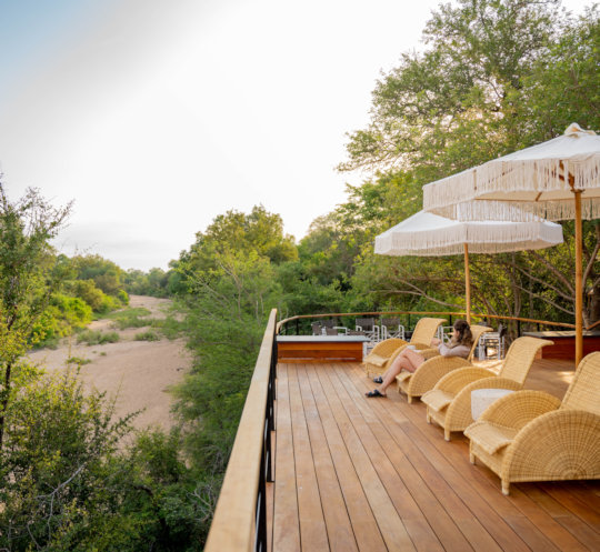 Uitzicht op rivierbedding bij Thornybush Game Lodge