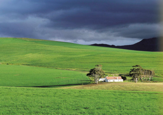 Velden met huisje in de omgeving van Swellendam