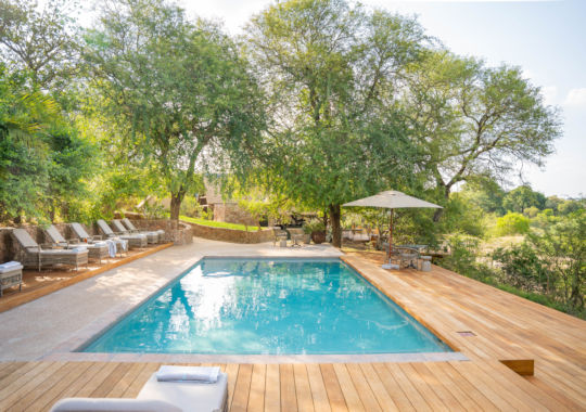 Zwembad bij Thornybush Game Lodge in Zuid Afrika