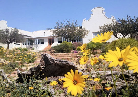 Naries Namakwa Retreat in Zuid Afrika