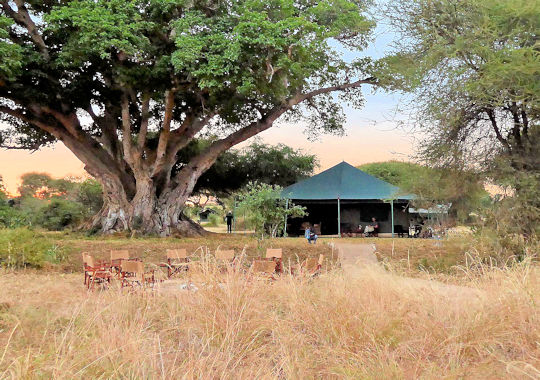 Tarangire View Camp diner tent