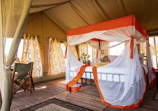 Tent bij Kisura Serengeti Camp