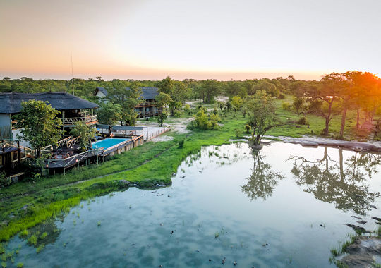 Chobe Mopani Forest Lodge in Botswana