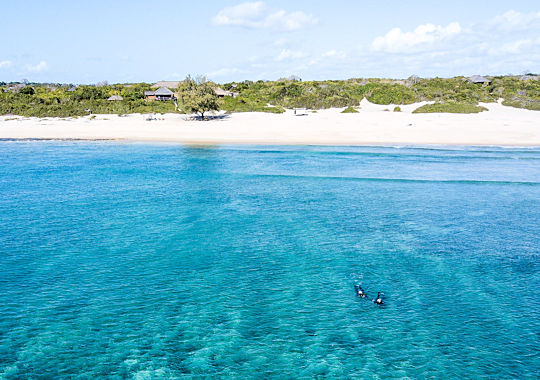 Duik vakantie in Mozambique