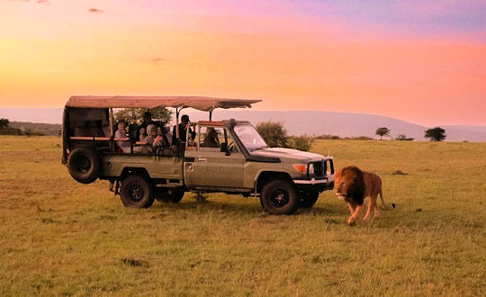 Fly in safari reis in Kenia 1