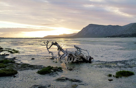 Kust tijdens vakantie in Zuid Afrika