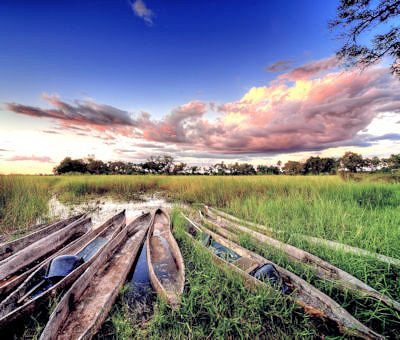 Mokoro boten in de Okvangano delta in Botswana