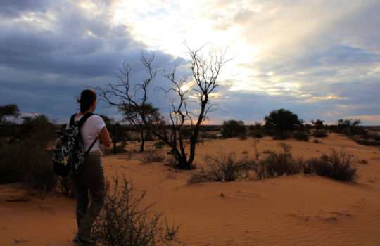 Reis door Namibie met Sable Tours