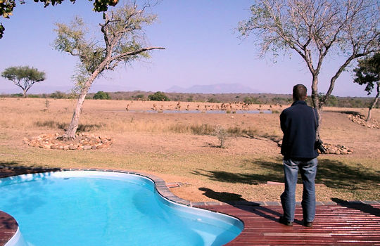 Safari verblijf in Zuid Afrika