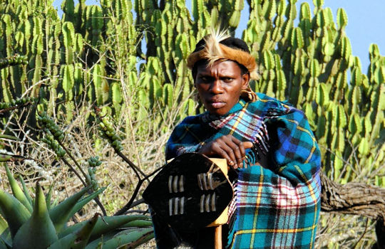 Zoeloe krijger tijdens vakantie in Zuid Afrika