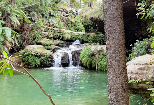 Piscine Naturelle in het Isalo National park