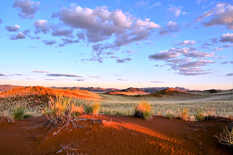 Prachtige kleuren van de Namib woestijn in Namibie rondreis
