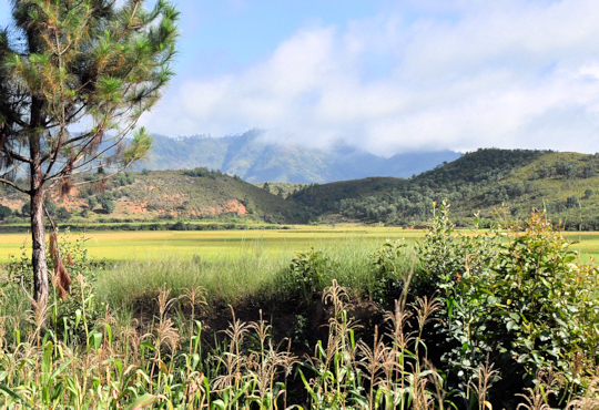 Prachtige landschappen tijdens studie rondreis op Madagaskar