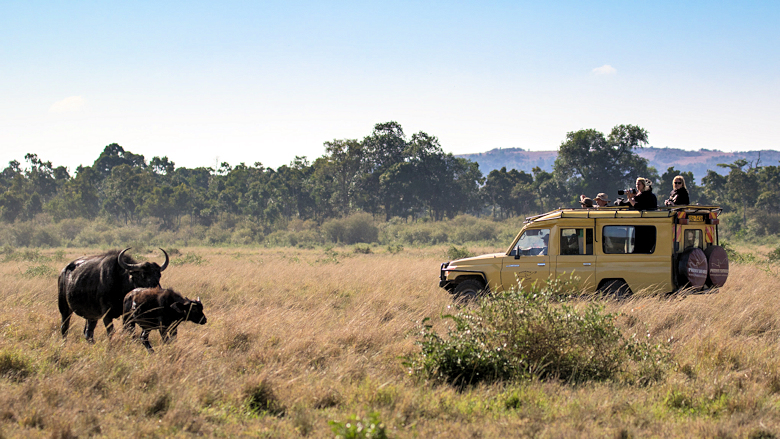 Safari in de Masai Mara in Kenia