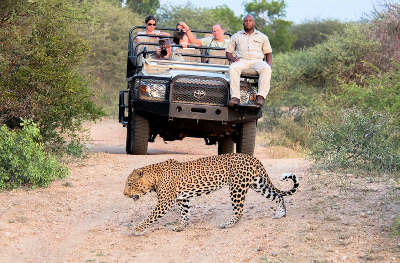 Safari in open voertuig in Zuid Afrika