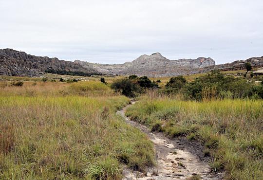Wandeling in het Isalo National Park