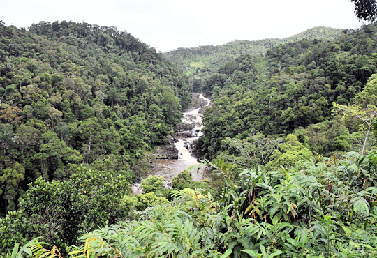 Waterval bij het Ranomafana National Park op Madagaskar
