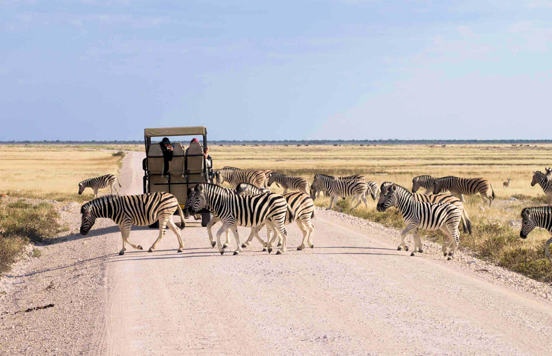 Georganiseerde safari in het Etosha National Park
