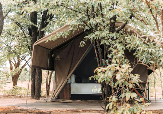 Safari tent in de Okavango delta
