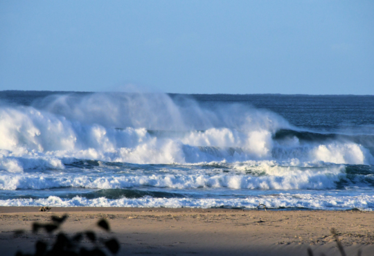 Strand bij de Wild Coast in Zuid Afrika