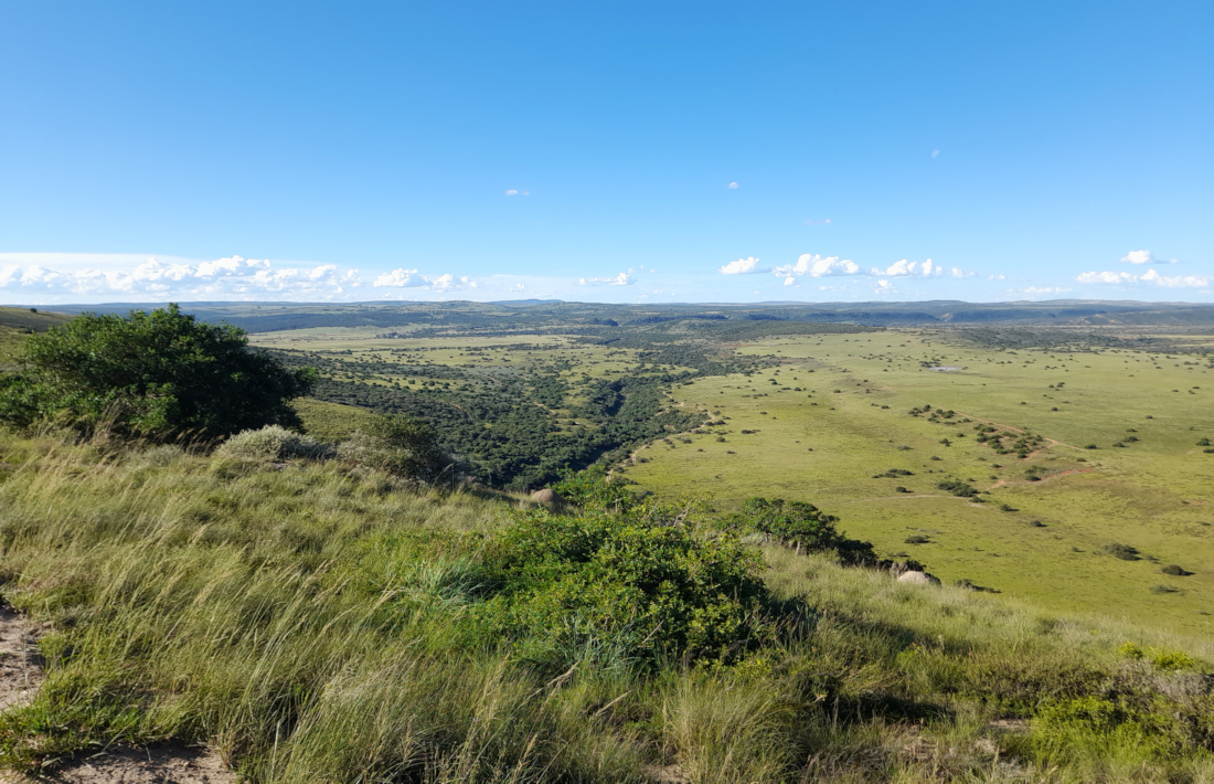 Uitzicht over het Amakhala Game Reserve